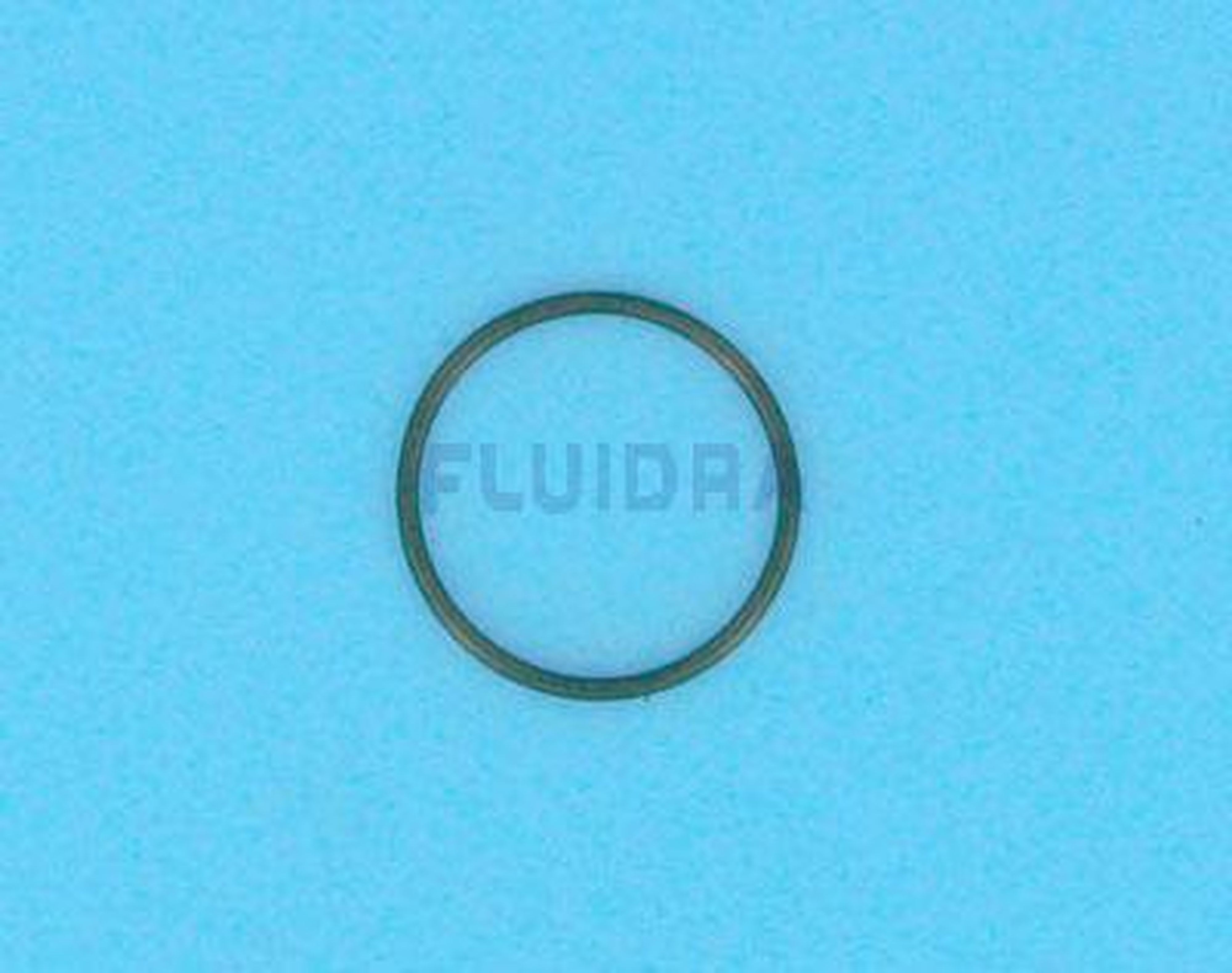 Zodiac - JOINT TORIQUE DE MINUTERIE P38