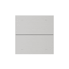 Theben - Façade iONprime PB Aluminium brossé 2 touches-4 appuis