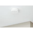 Netatmo - Détecteur de Fumée Intelligent et connecté Netatmo avec alerte sur smartphone