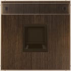 Jung - Enjo avec PE pour noyau Modulear-Jack / LS 990 Laiton ancien