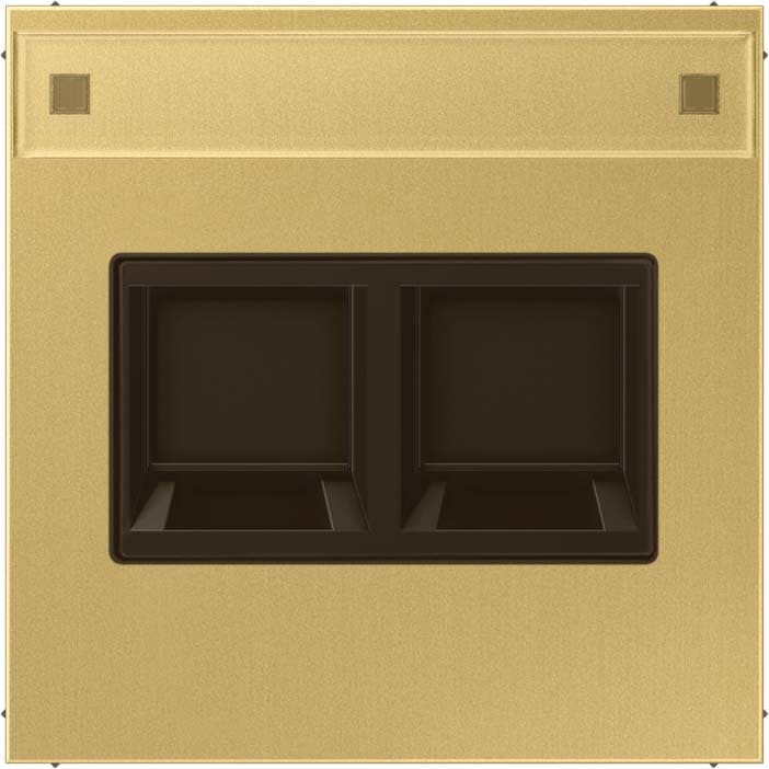 Jung - Enjo avec PE pour deux noyaux Modular Jack / LS 990 Laiton