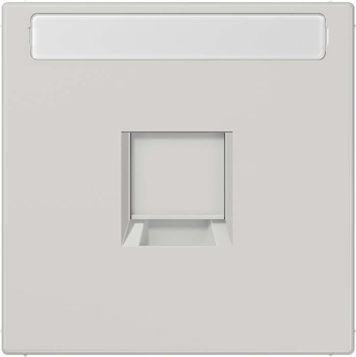 Jung - Enjo RJ 45 simple avec PE / LS 990 Gris clair pour Modular Jack