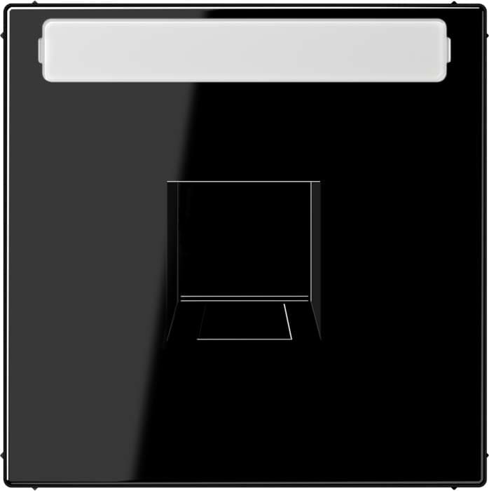 Jung - Enjo RJ 45 simple avec PE / LS 990 Noir pour Modular Jack