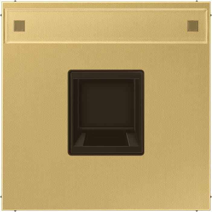 Jung - Enjo RJ 45 simple avec PE / LS 990 Laiton pour Modular Jack