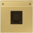 Jung - Enjo RJ 45 simple avec PE / LS 990 Laiton pour Modular Jack