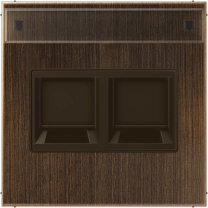 Jung - Enjo RJ 45 double avec PE / LS 990 Laiton ancien pour Modular Jack