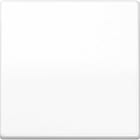 Jung - Enjoliveur simple touche pour mécanisme BP-BCU F10 A10xxxST / AS 500 Blanc