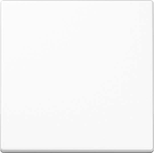 Jung - Enjo simple touche pour mécanisme BP-BCU F10 A10xxxST / A 500 Blanc