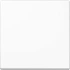 Jung - Enjo simple touche pour mécanisme BP-BCU F10 A10xxxST / A 500 Blanc