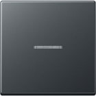 Jung - Enjo simple touche à voyant pour méc BP-BCU F10 A10xxxST / A 500 Anthracite