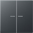 Jung - Enjo double touche à voyant pour méc BP-BCU F10 A10xxxST / A 500 Anthracite