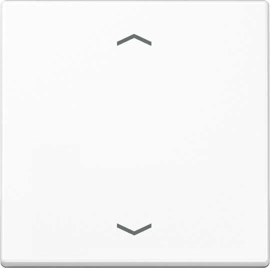 Jung - Enjo simple touche avec flèches pour mécanisme BP-BCU A10xxxST/ A 500 Blanc