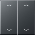 Jung - Enjo double touche avec flèches pour mécanisme BP-BCU A10xxxST/ A 500 Anthracite