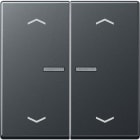 Jung - Enjo double touche avec flèches et voyant méc BP-BCU A10xxxST/ A 500 Anthracite