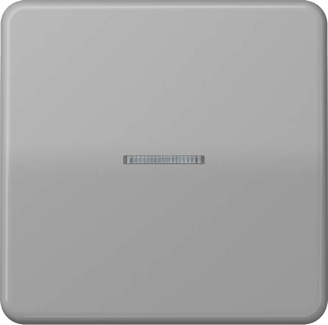 Jung - Enjo simple touche à voyant pour mécanisme BP-BCU F10 LSCD10xxxST / CD 500 Gris