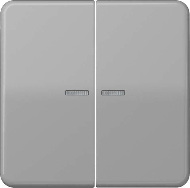 Jung - Enjo double touche à voyant pour mécanisme BP-BCU F10 LSCD10xxxST / CD 500 Gris