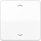 Jung - Enjo simple touche avec flèches pour mécanisme BP-BCU LSCD10xxxST/ CD 500 Blanc