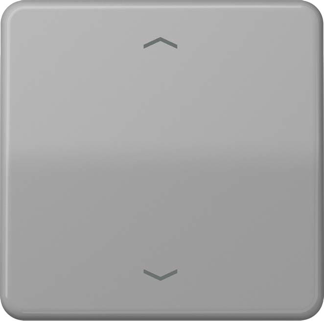 Jung - Enjo simple touche avec flèches pour mécanisme BP-BCU LSCD10xxxST/ CD 500 Gris