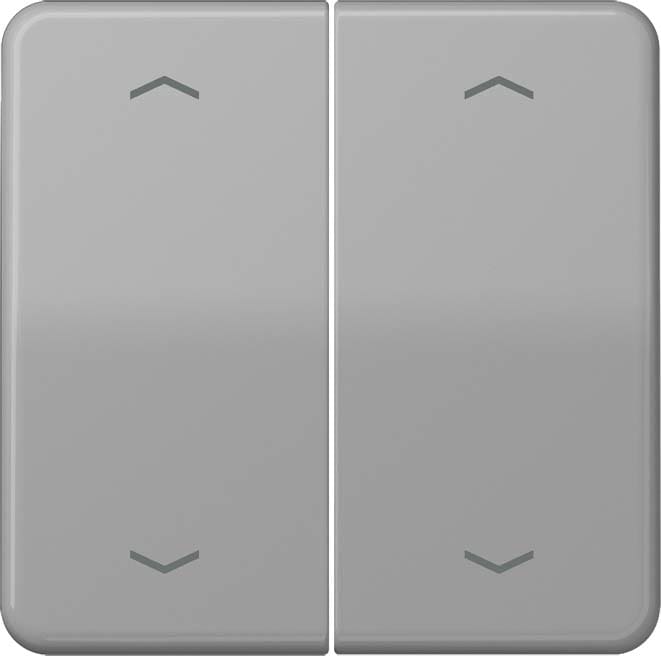 Jung - Enjo double touche avec flèches pour mécanisme BP-BCU LSCD10xxxST/ CD 500 Gris