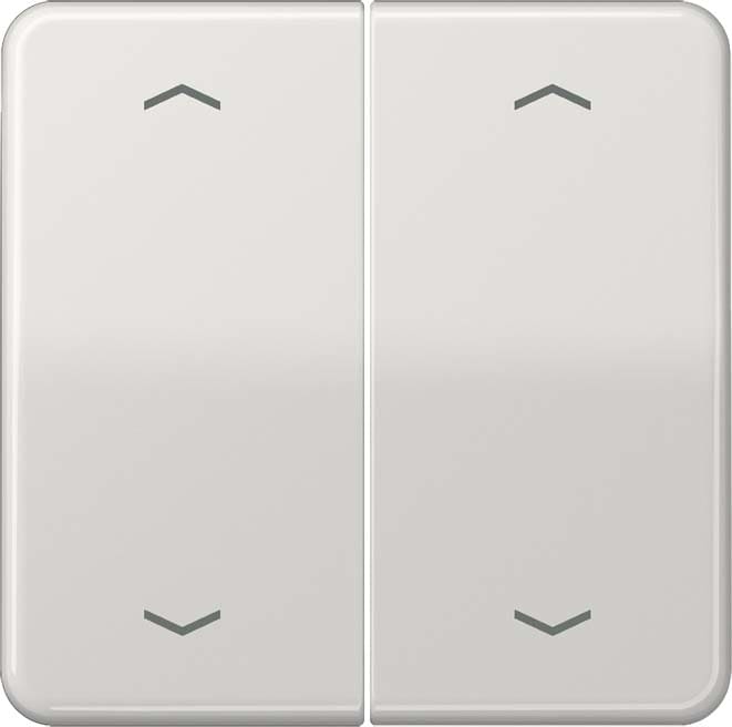 Jung - Enjo double touche avec flèches pour méc BP-BCU LSCD10xxxST/ CD 500 Gris clair
