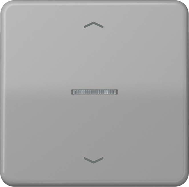 Jung - Enjo simple touche avec flèches et voyant méc BP-BCU LSCD10xxxST/ CD 500 Gris