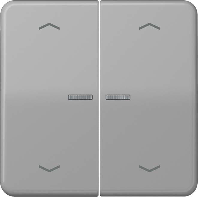 Jung - Enjo double touche avec flèches et voyant méc BP-BCU LSCD10xxxST/ CD 500 Gris