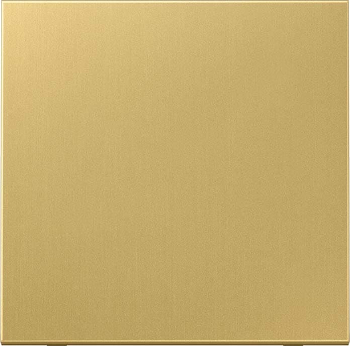 Jung - Enjo simple touche pour mécanisme BP-BCU F10 LSCD10xxxST / LS 990 Laiton