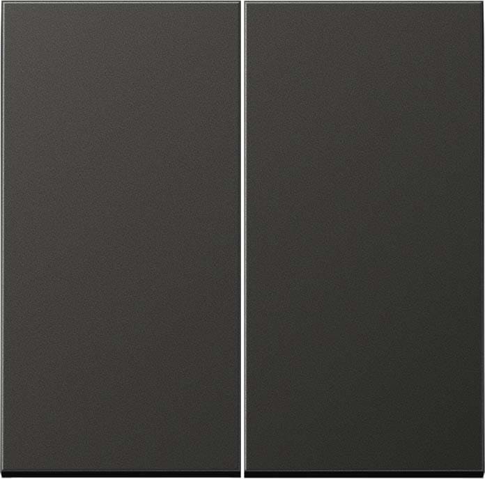 Jung - Enjo double touche pour mécanisme BP-BCU F10 LSCD10xxxST / LS 990 Anthracite