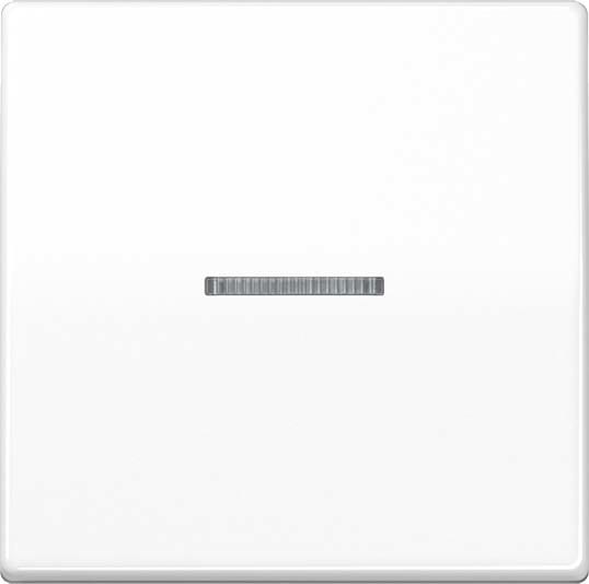 Jung - Enjo simple touche à voyant pour mécanisme BP-BCU F10 A10xxxST / AS 500 Blanc