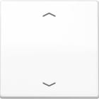 Jung - Enjo simple touche avec flèches pour mécanisme BP-BCU A10xxxST/ AS 500 Blanc