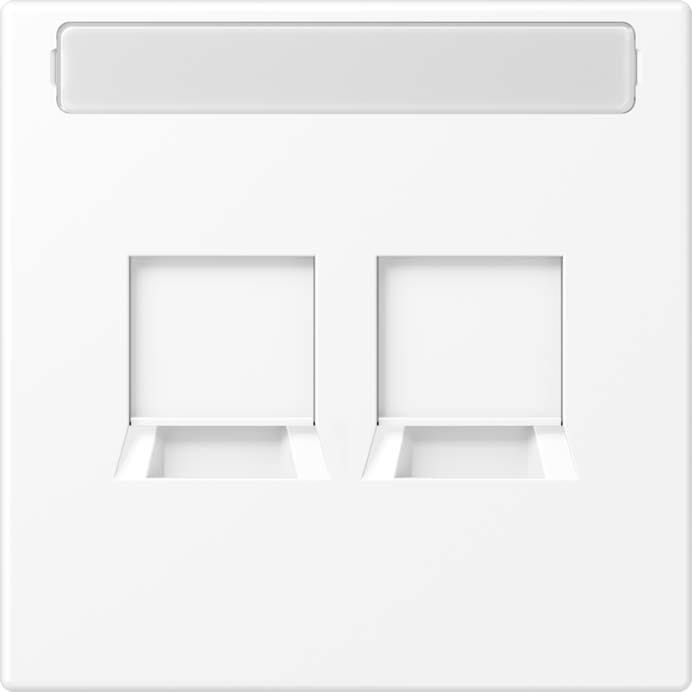 Jung - Enjo avec PE pour deux noyaux Modular Jack / LS 990 Blanc mat