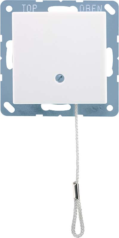 Jung - Interrupteur Va et Vient à cordon / A 500 noir mat