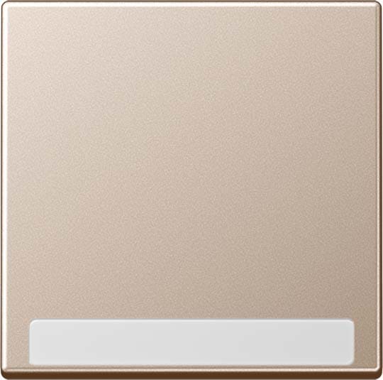 Jung - Enjoliveur simple touche avec PE / Série A 500 Champagne