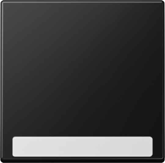 Jung - Enjoliveur simple touche avec PE / Série A 500 Noir Mat