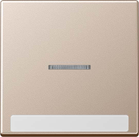 Jung - Enjoliveur simple touche à voyant et PE / Série A 500 Champagne