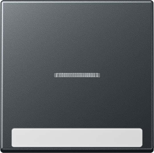 Jung - Enjoliveur simple touche à voyant et PE / Série A 500 Anthracite