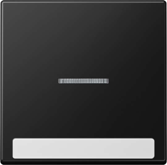 Jung - Enjoliveur simple touche à voyant et PE / Série A 500 Noir Mat