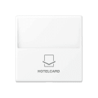 Jung - Enjoliveur Interrupteur Hotelcard / Série A 500 Blanc Mat