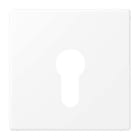 Jung - Enjoliveur pour IN et BP à clé version plate / LS 990 Blanc Mat