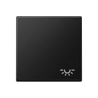 Jung - Enjoliveur avec symbole "lumière" / Série A 500 Noir Mat