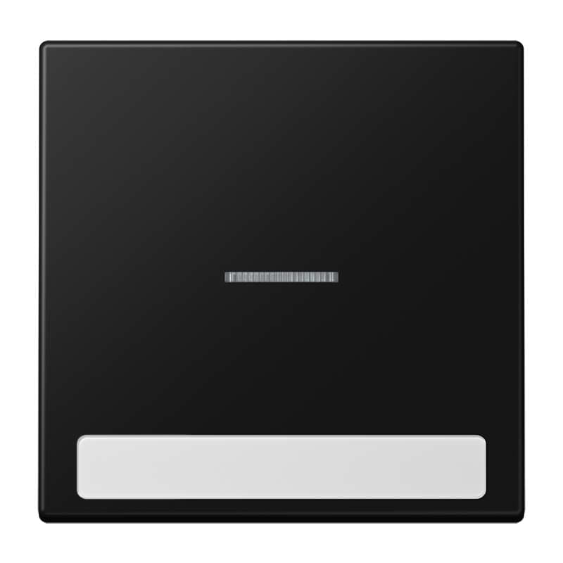 Jung - Enjoliveur simple touche porte étiquette & témoin / LS 990 Noir Mat