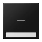 Jung - Enjoliveur simple touche porte étiquette & témoin / LS 990 Noir Mat