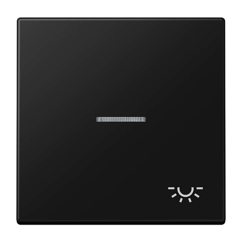 Jung - Enjo avec symb "lumière" à voyant / LS 990 Noir Mat