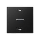 Jung - Enjo touche flèches et voyant pour méc BP-BCU A10xxxST/ A 500 Noir Mat