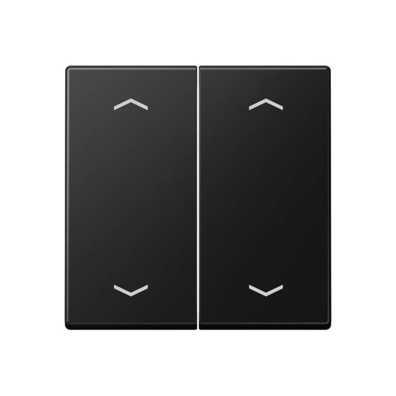 Jung - Enjo double touche avec flèches pour mécanisme BP-BCU A10xxxST/ A 500 Noir Mat