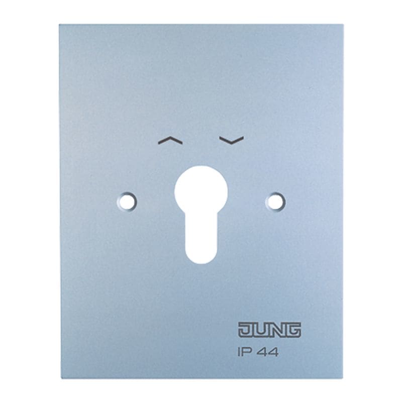Jung - Enjoliveur métallique, plaque de recouvrement 125x100mm