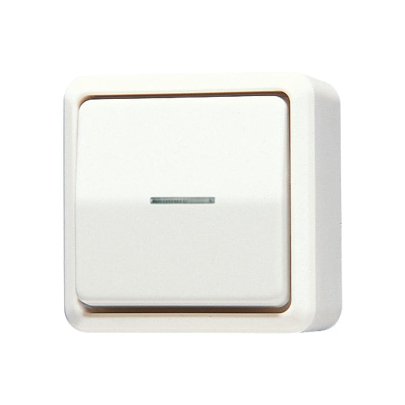 Jung - Interrupteur à témoInterrupteur 10 AX 250 V ~ / AP 600 Ivoire