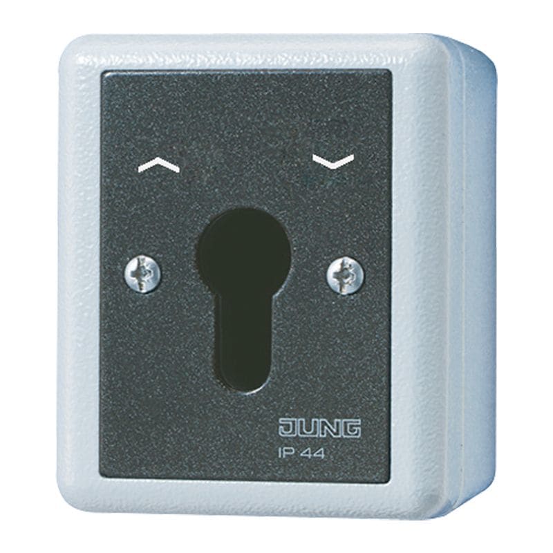 Jung - Interrupteur à clé IP 44 sailie / WG 800 Gris