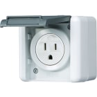 Jung - Prise US-Norm NEMA 15 Ampères / WG 800 IP44