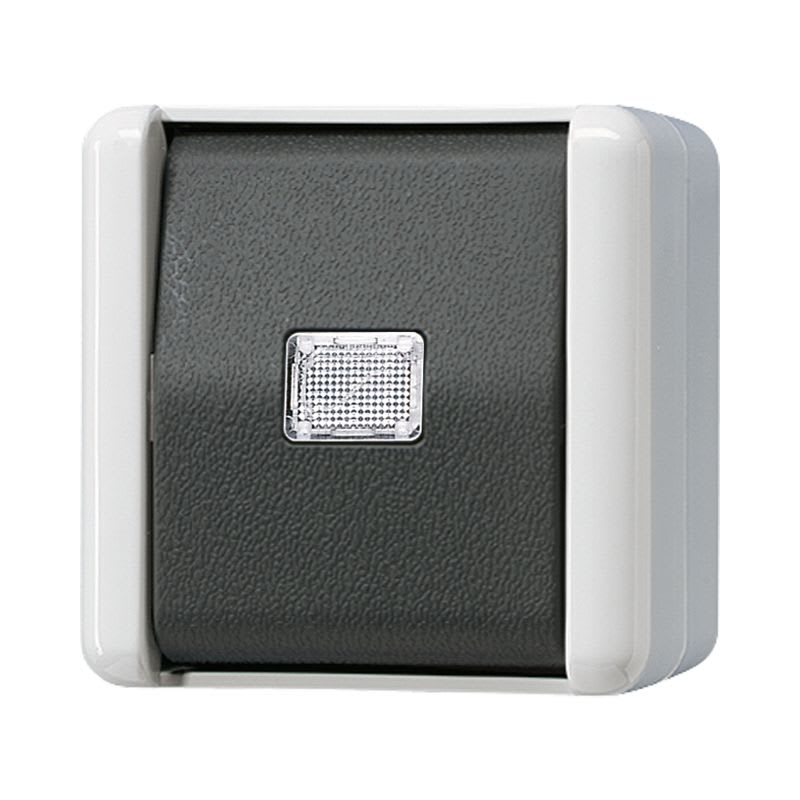 Jung - Poussoir 2 poles 10 AX 250 V ~ sans symbole